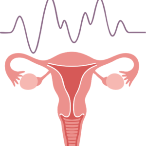 Infertility & Conception